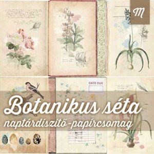 botanikusséta